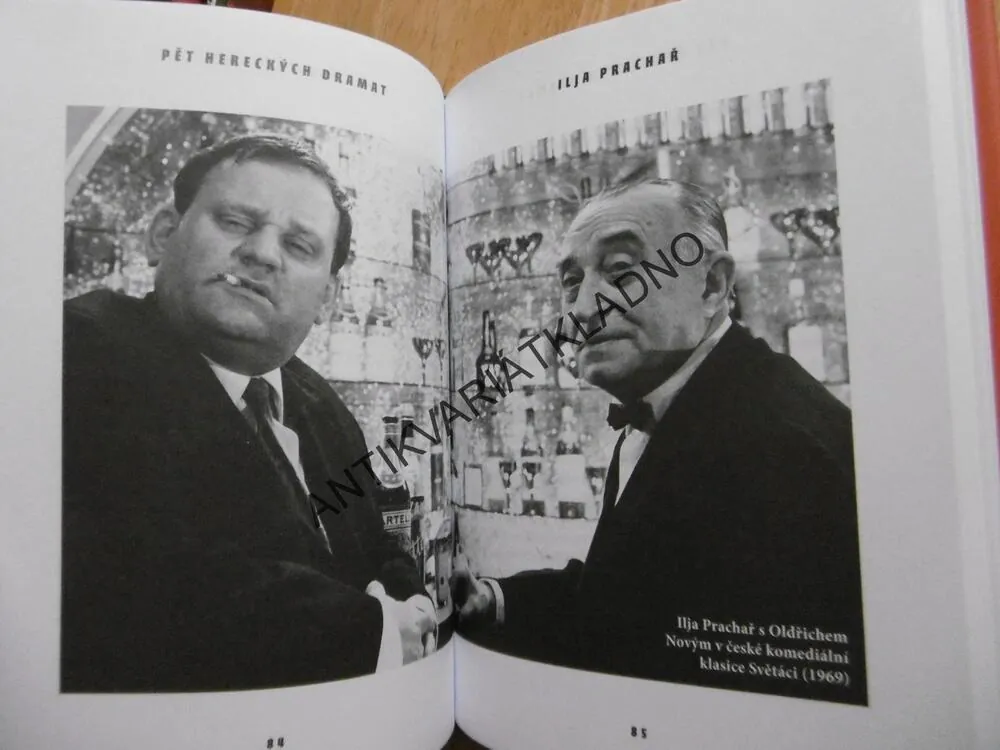 5 HERECKÝCH DRAMAT, DAVID LAŇKA, **an