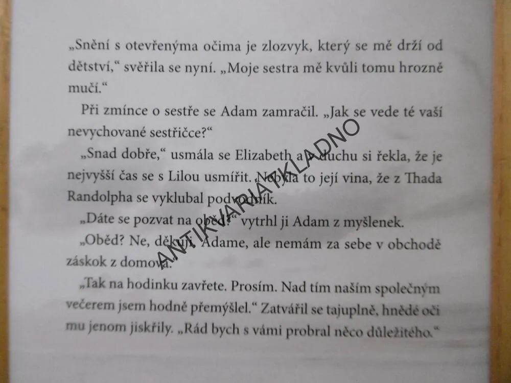 MILENEC ZE SNŮ, SANDRA BROWN, **an