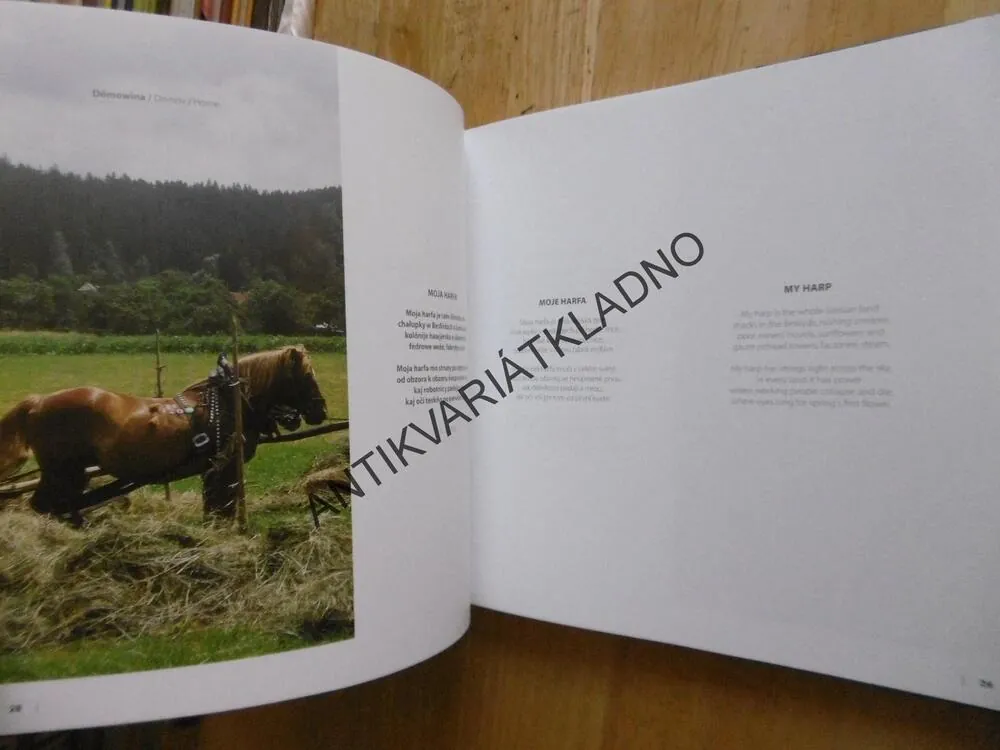 ÓNDRA LYSOHORSKY, VÍCEJAZYČNÁ POEZIE, **an