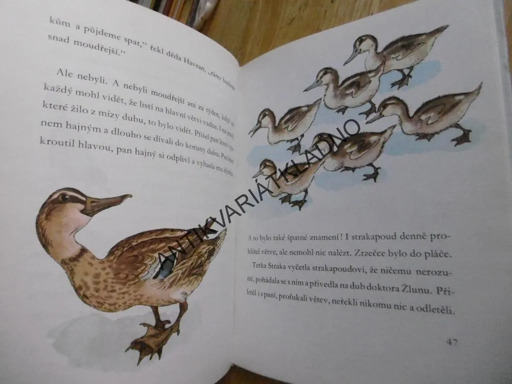 DOBRODRUŽSTVÍ VEVERKY ZRZEČKY, JOSEF ZEMAN, **an
