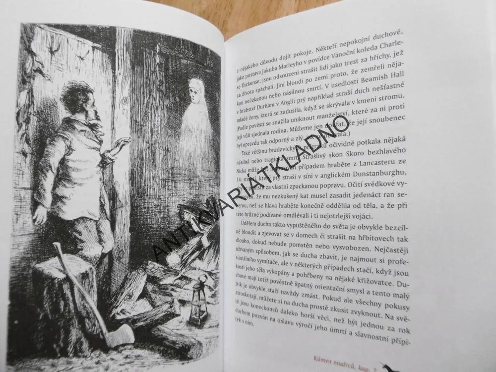 ŠKOLA ČARODĚJŮ, PRŮVODCE MAGICKÝM SVĚTEM HARRYHO POTTERA,KRONZEK, HARRY POTTER, **an