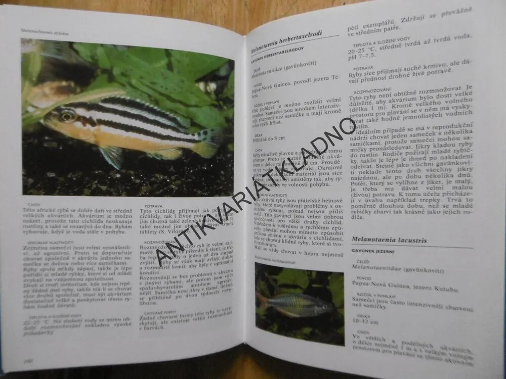 ENCYKLOPEDIE AKVARIJNÍCH RYB, ESTHER J. J. VERHOEF,-VERHALLENOVÁ, **an