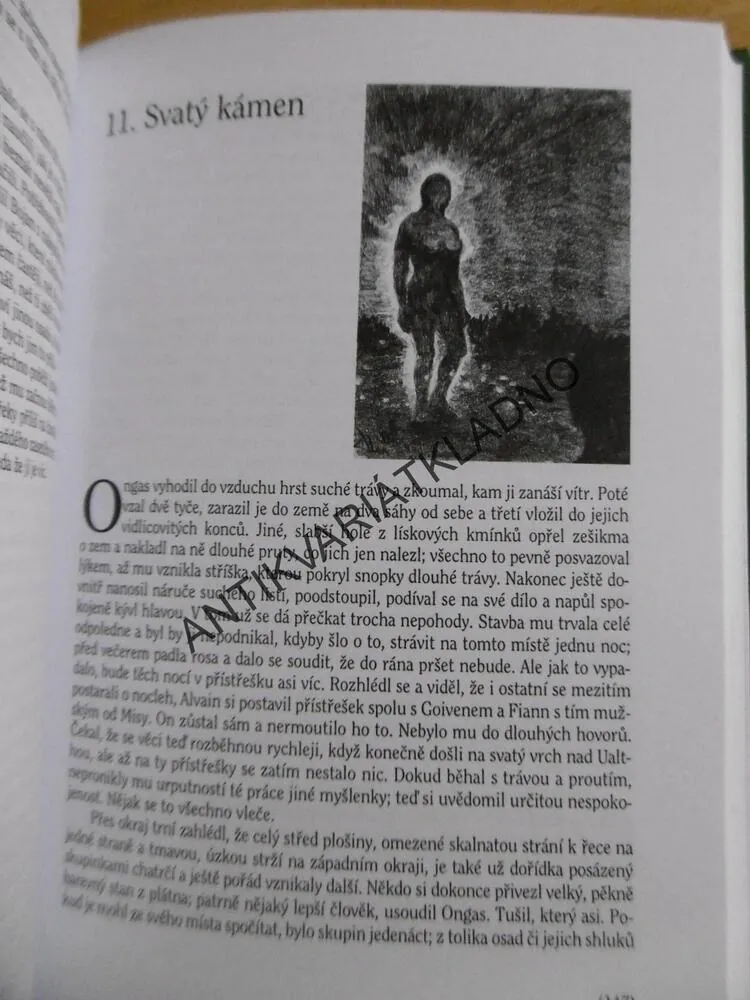 PRAOTCOVÉ, POKUS O ROMÁNOVOU REKONSTRUKCI, LUDĚK FRÝBORT, **an