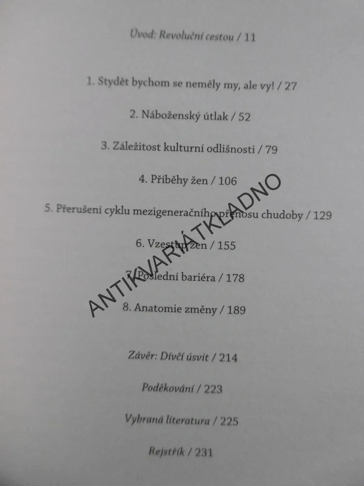 VZPOURA: ÚSVIT NOVÉHO VĚKU PRO VŠECHNY EVINY DCERY, SALLY ARMSTRONGOVÁ, **an