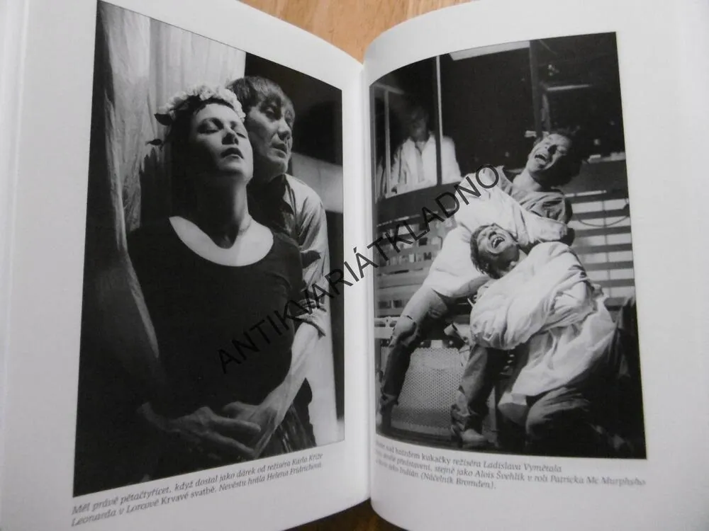 BORIS RÖSNER, ŽIVOT JAKO DIVADLO, MIROSLAVA BESSEROVÁ, **an