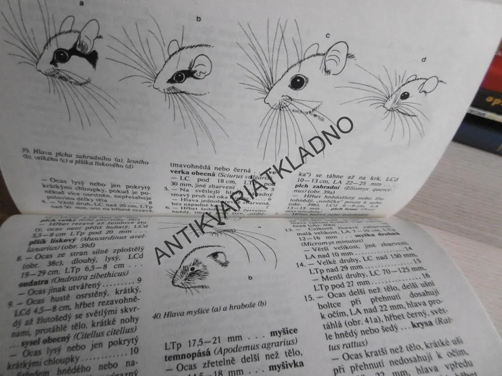 POZNÁVÁME NAŠE SAVCE, MILOŠ ANDĚRA, IVAN HORÁČEK, **an