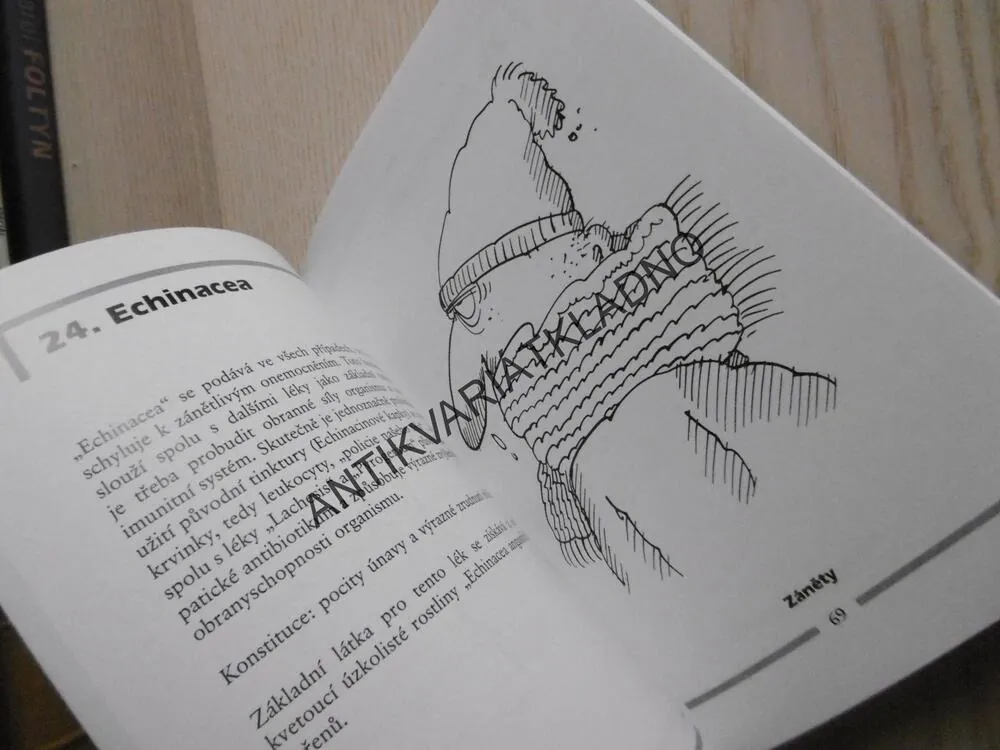HOMEOPATICKÁ DOMÁCÍ LÉKÁRNA V OBRAZECH, VERA ROSIVAL, **an
