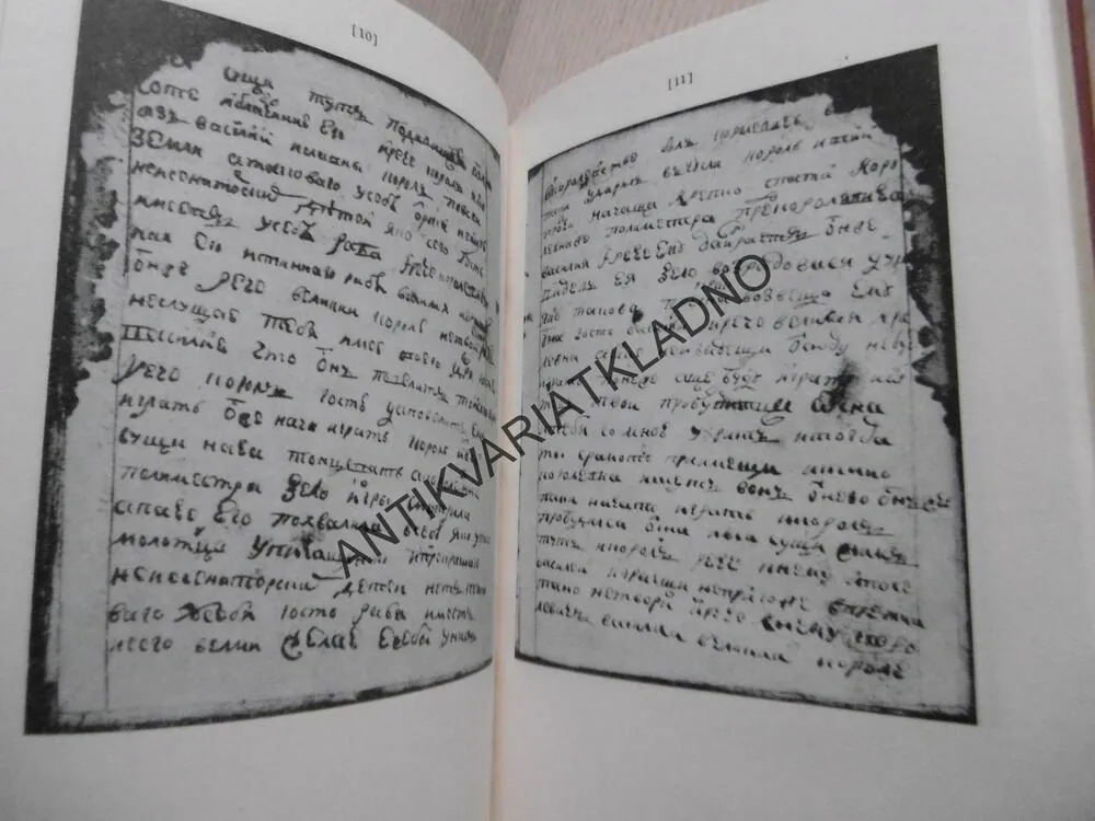 O VASILIJI ZLATOVLASÉM, KRALEVICI ČESKÉ ZEMĚ, **an