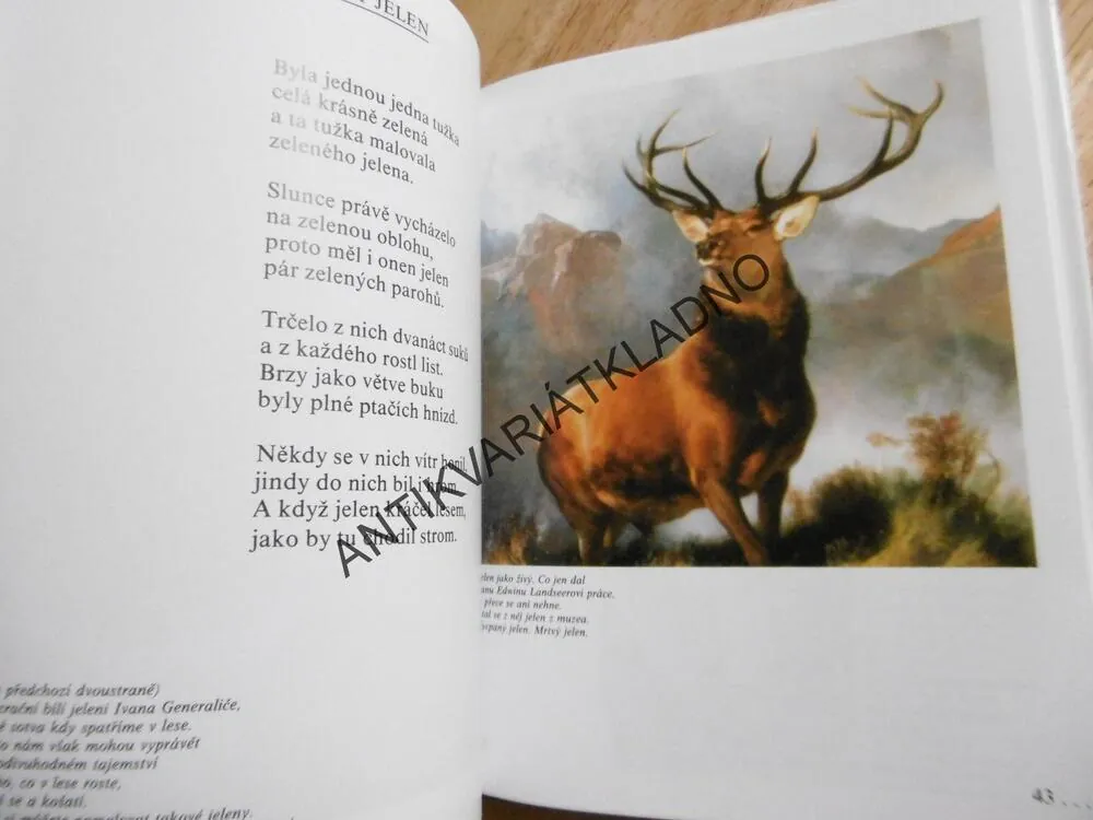 POJĎTE ZA OBRAZY ANEB...MALOVÁNÍ ZVÍŘAT, BRUKNER,