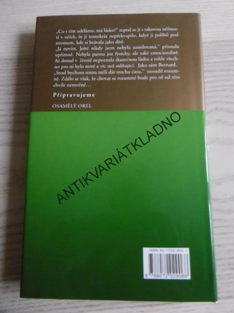 ODVÁŽNÉ ROZHODNUTÍ, DANIELLE STEEL, **an