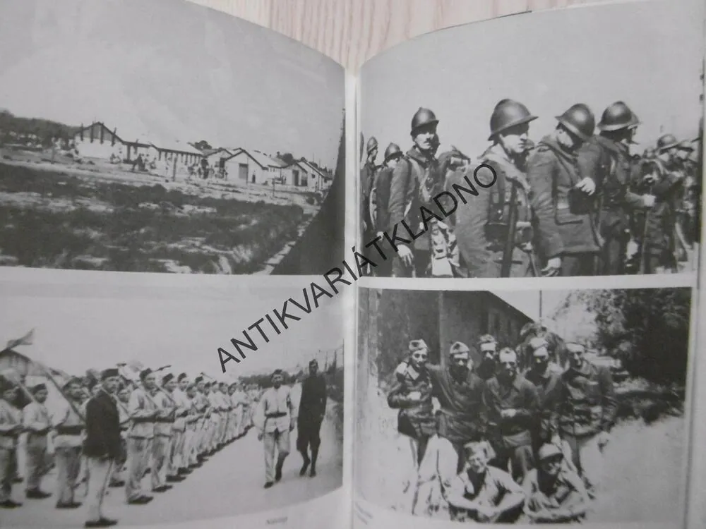 ZBYLO NÁS DEVĚT, JIŘÍ OSOLSOBĚ, **an