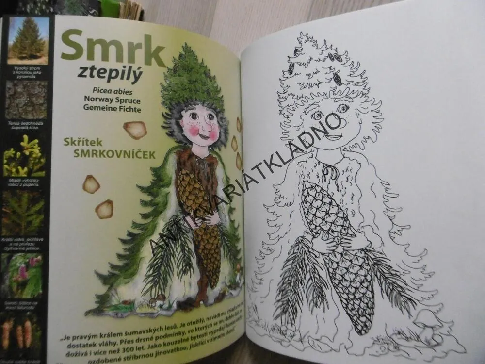 TAJEMSTVÍ ŠUMAVSKÝCH STROMŮ, KOLEKTIV AUTORŮ, **an