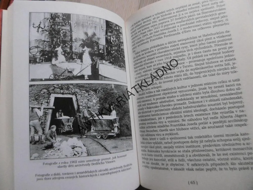 POD HABSBURSKÝM ORLEM, JIŘÍ PERNES, **an
