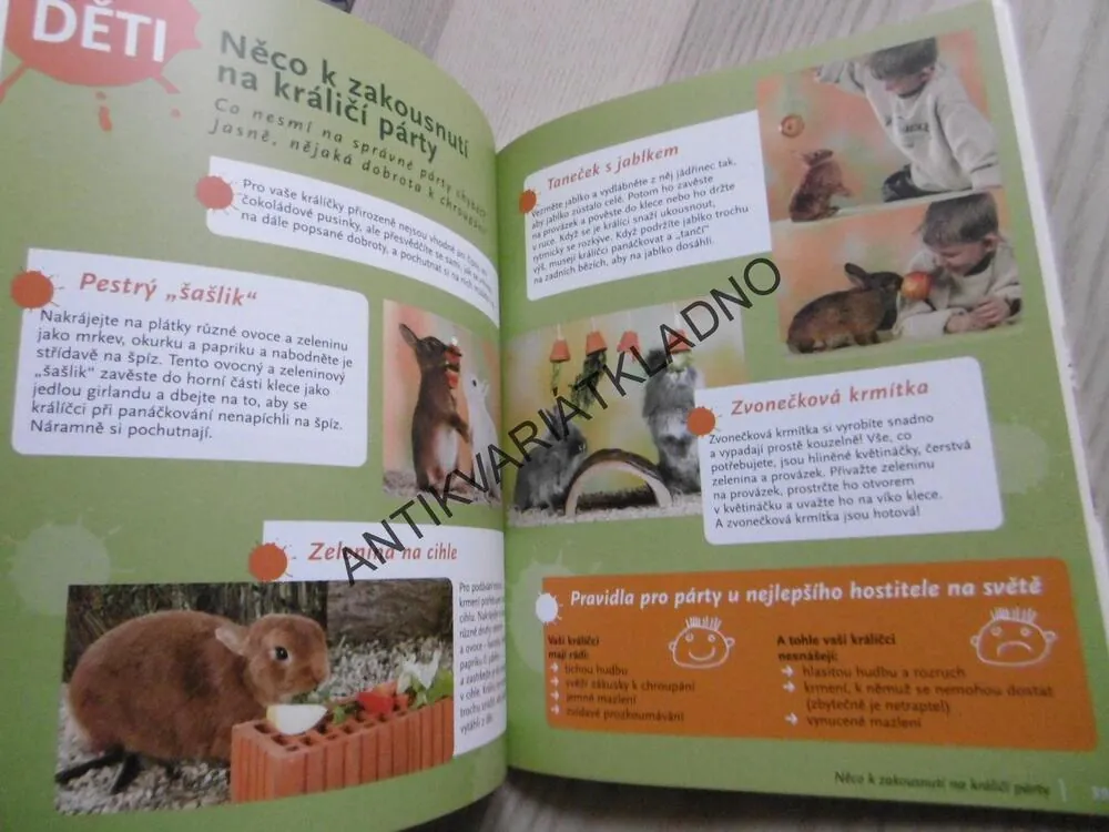 ZAKRSLÍ KRÁLÍCI, CHOV A PÉČE, POROZUMĚNÍ A ZABAVENÍ, ANGELA BECKOVÁ, **an