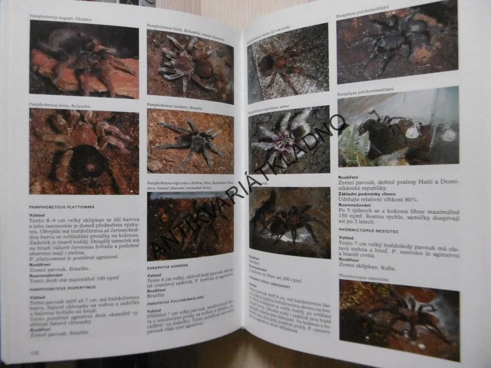 ENCYKLOPEDIE TERARISTIKY, EUGÉNE BRUINS, **an