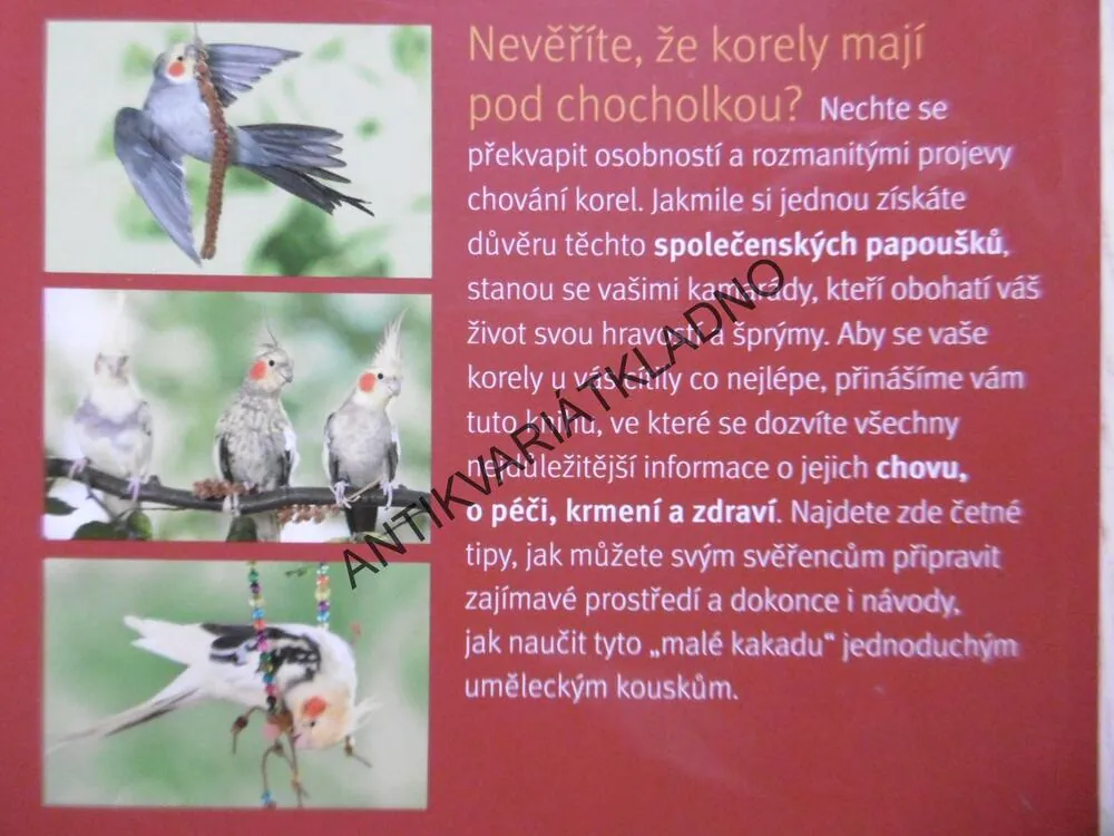 KORELA, ŠŤASTNÝ ŽIVOT LETECKÝCH AKROBATŮ, HILDEGARD NIEMANN, **an