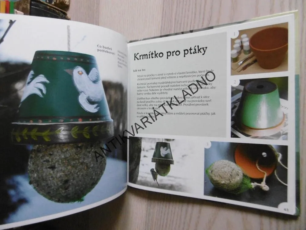 KNIHA PLNÁ NÁPADŮ, VENKE EIANE SAETHER, **an