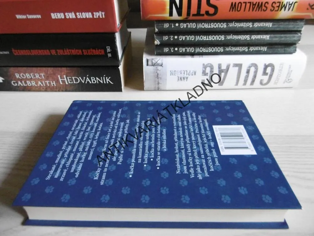 SLEPIČÍ POLÉVKA PRO MILOVNÍKY KOČEK, J. CANFIELD A KOLEKTIV, **an