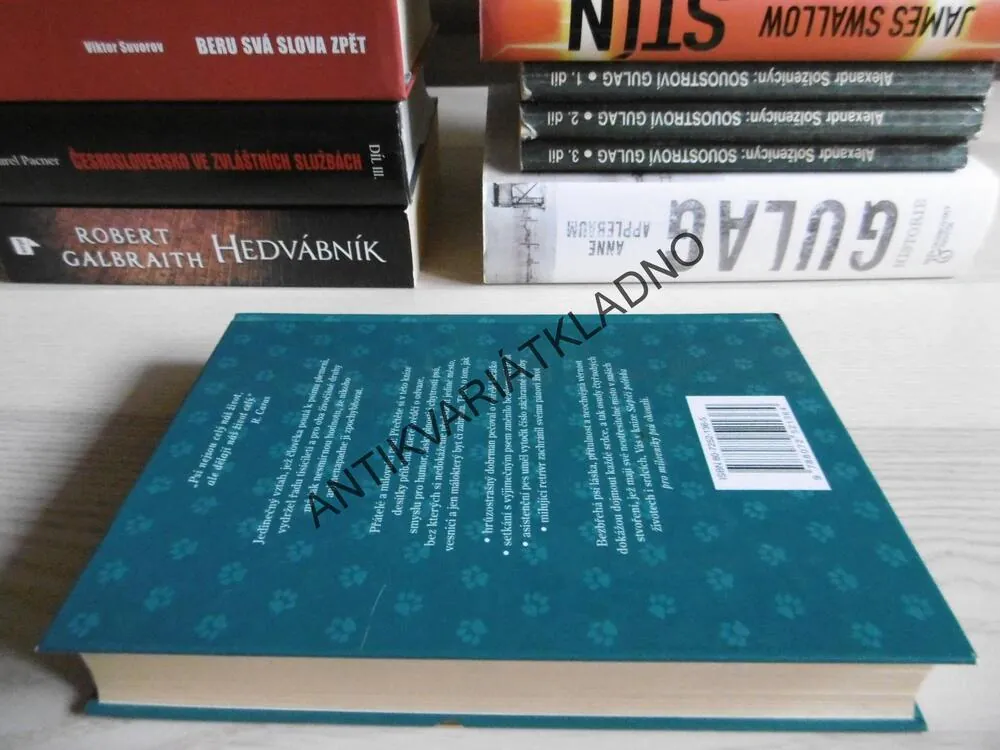 SLEPIČÍ POLÉVKA PRO MILOVNÍKY PSŮ, J. CANFIELD A KOLEKTIV, **an