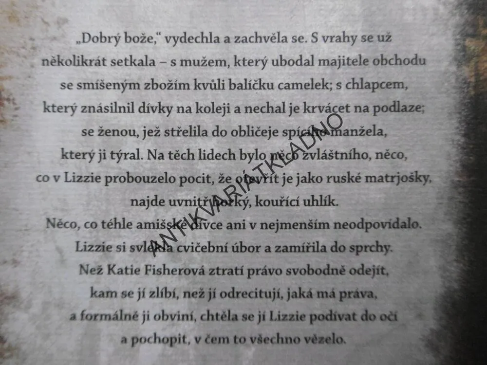 PROSTÁ PRAVDA, JODI PICOULTOVÁ, **an