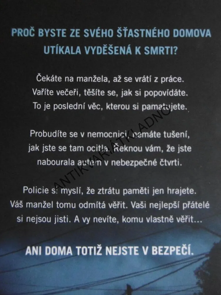 NĚKDO CIZÍ V DOMĚ, SHARI LAPENA, **an