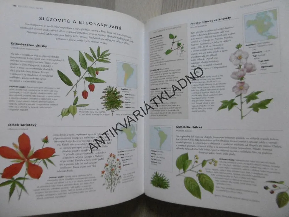 KVĚTINY A ROSTLINY V PŘÍRODĚ, SVĚTOVÁ ENCYKLOPEDIE, **an