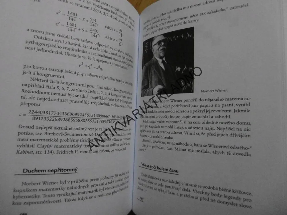 TRUHLICE MATEMATICKÝCH POKLADŮ PROFESORA STEWARTA, STEWART