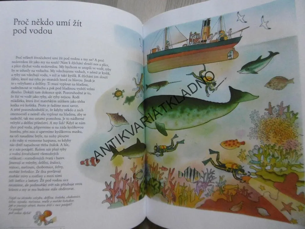 MALOVANÝ SVĚT A JÁ HO CHCI UVIDĚT, GABRIEL FILCÍK, MICHAL ČERNÍK, **an