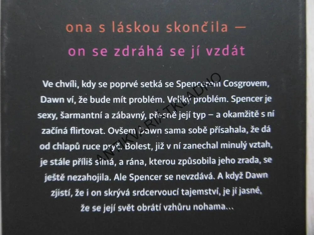 VĚŘIT ZNOVU, MONA KASTEN, **an