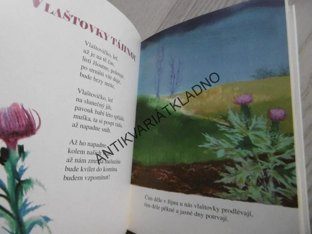 PODZIMNÍ ŘÍKADLA, JIŘÍ TRNKA, **an