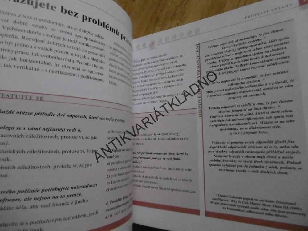 JSTE VÝJIMEČNÍ?, INTELIGENCE, CLAIRE GORDONOVÁ,, **an