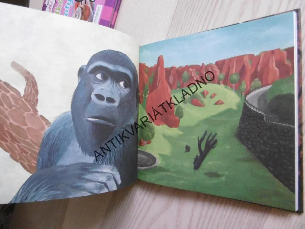 GORILÍ TÁTA, MARKÉTA PILÁTOVÁ,