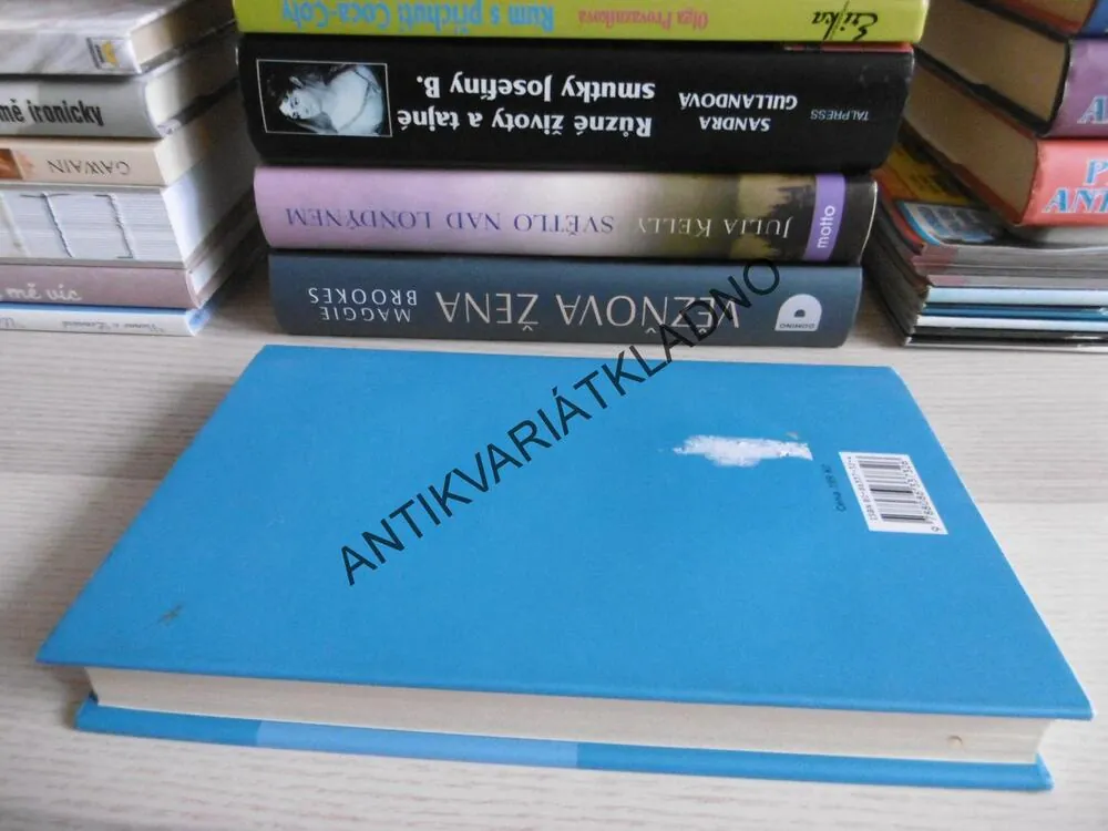 PŘÍRUČKA PRO NEPOSLUŠNÉ ŽENY, IRENA OBERMANNOVÁ, **an