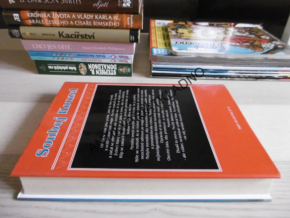 RYTÍŘSKÝ ÚSVIT,  PIERS ANTHONY, **an