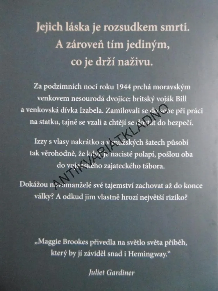 VĚZŇOVA ŽENA, MAGGIE BROOKES, **an