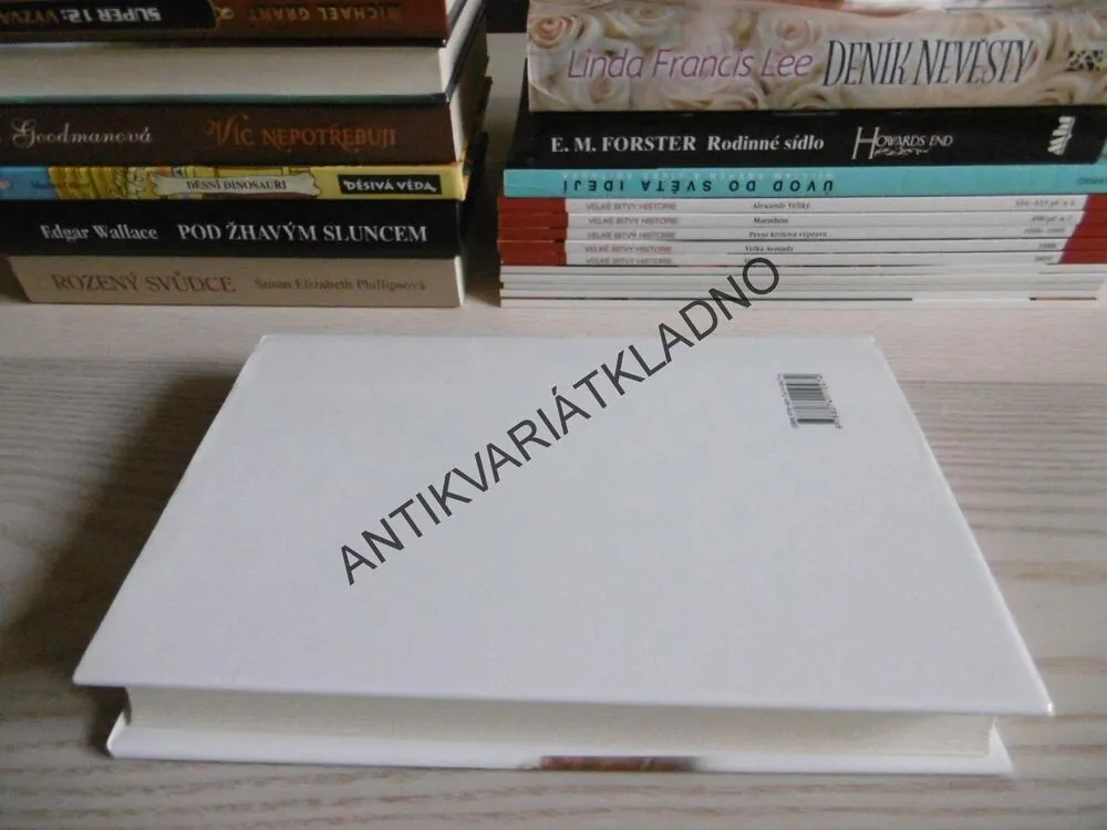 S VIKOMTEM V LOŽNICI, GAYLE CALLEN, **an