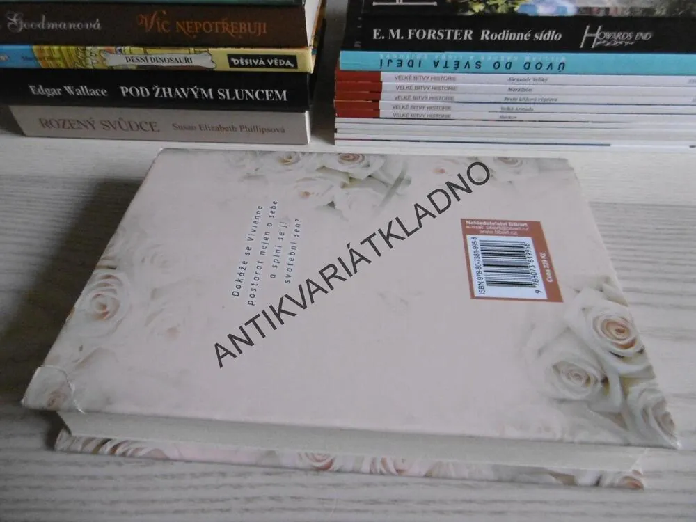 DENÍK NEVĚSTY, LINDA FRANCIS LEE, **an