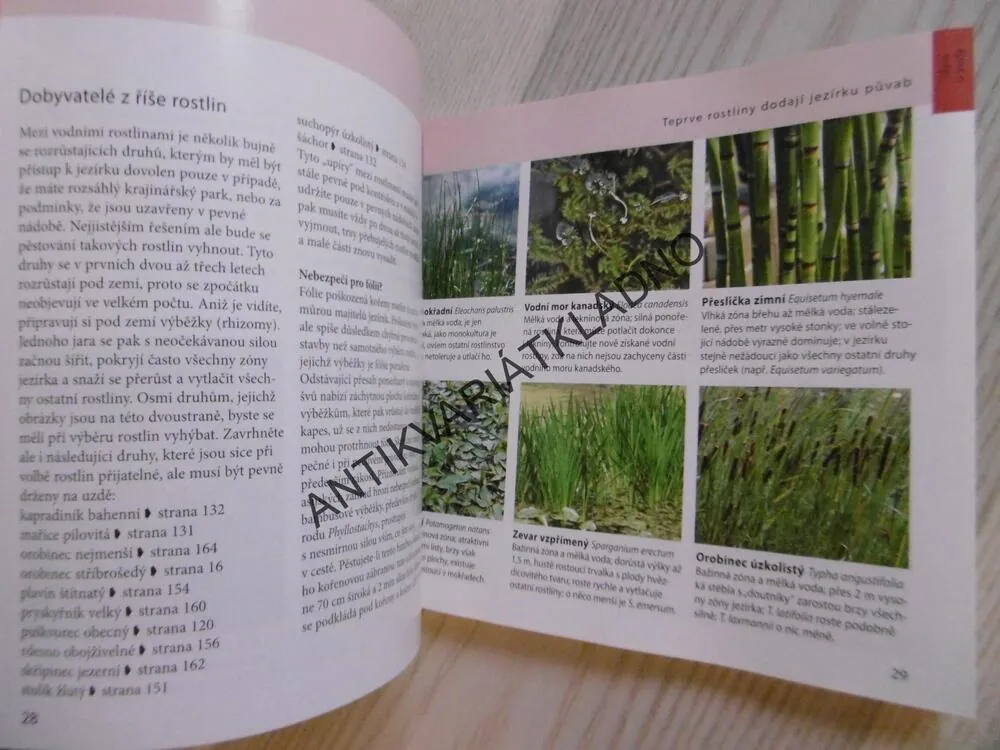 RYCHLÝ POMOCNÍK, VODA V ZAHRADĚ, KIRCHEROVI,, **an