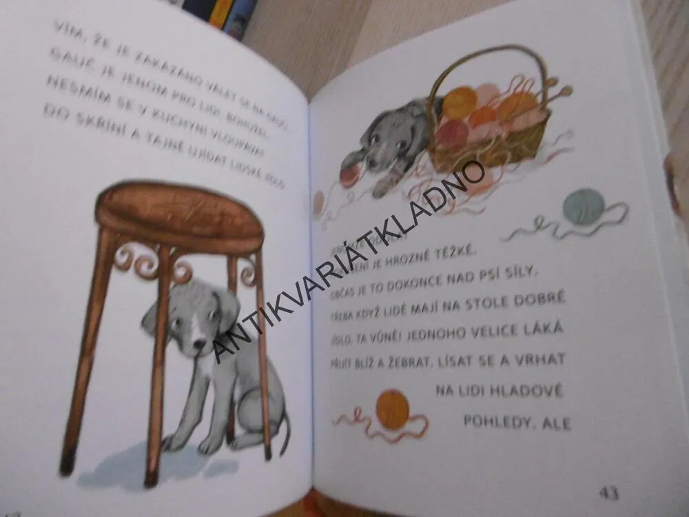 ZPRÁVY Z PELÍŠKU, DANIELA KROLUPPEROVÁ, KNECHTLOVÁ,**an