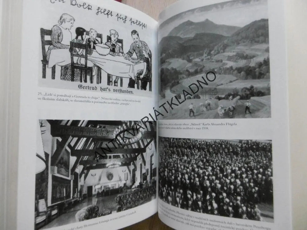 TŘETÍ ŘÍŠE U MOCI, 1933-1939, RICHARD J. EVANS, **an