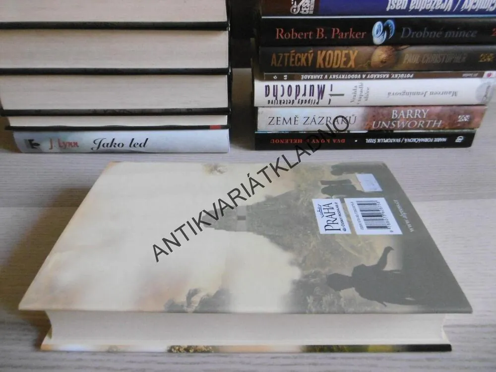 ZTRACENÉ MĚSTO, ALEC PALMER, **an
