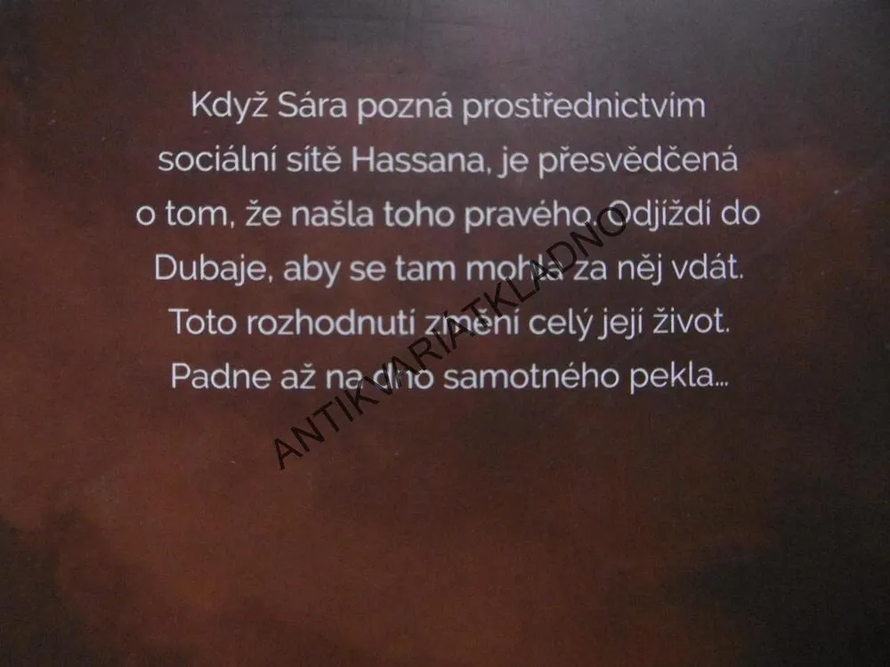 SLZY PRO ARABA, MIRKA MANÁKOVÁ, **an