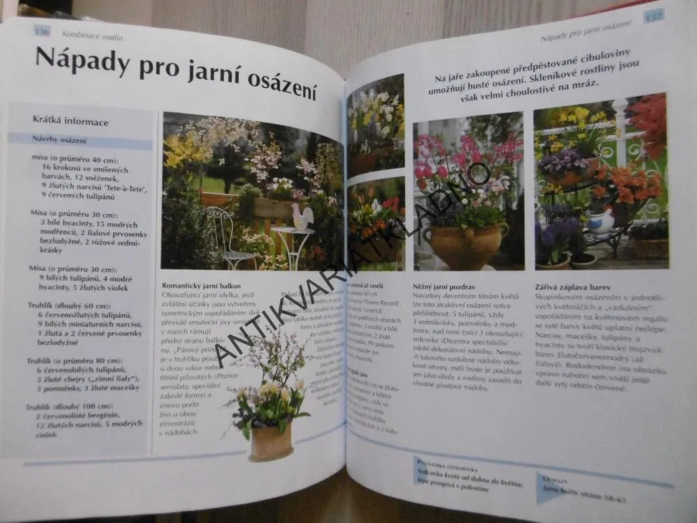 BALKONOVÉ A PŘENOSNÉ ROSTLINY, JOACHIM MAYER, **an