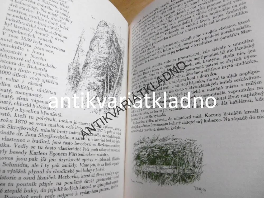 HÁJEMSTVÍ ZELENÉ, VIKTOR PALIVEC, OKR. RAKOVNÍK, **an