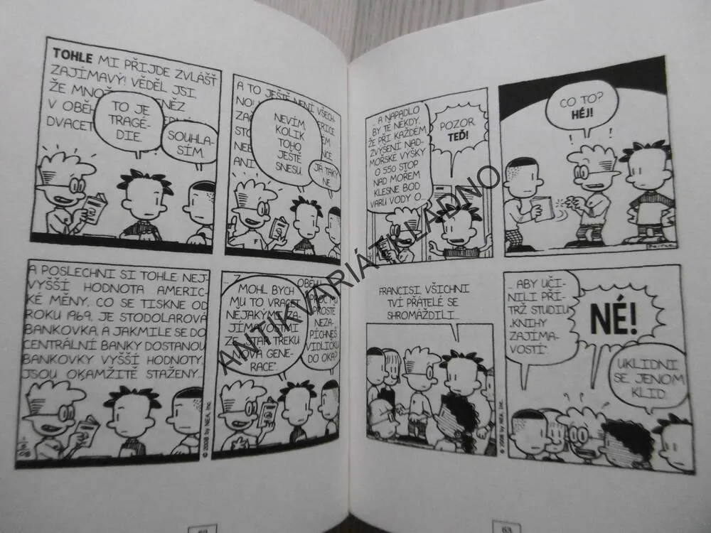 VELKEJ FRAJER NATE, KOMIKS, LINCOLN PEIRCE, **an