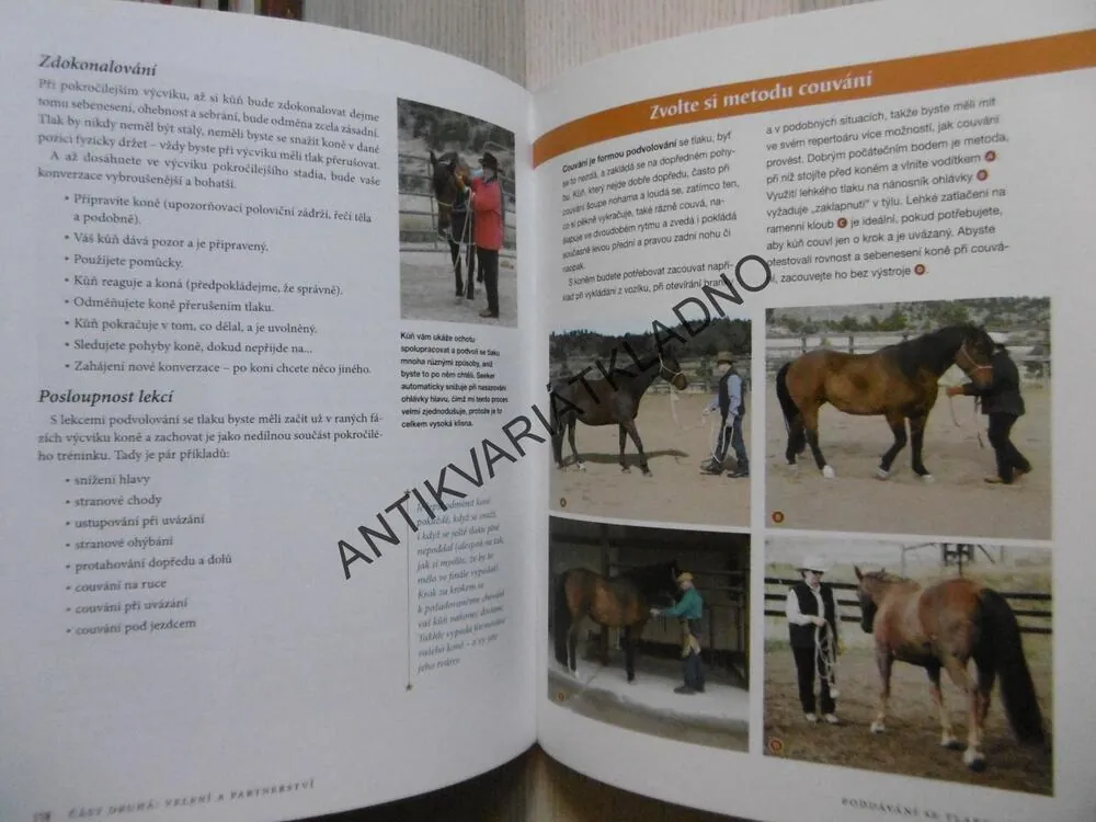 CO BY MĚL KAŽDÝ KŮŇ ZNÁT, VÝCVIK, CHERRY HILLOVÁ, **an