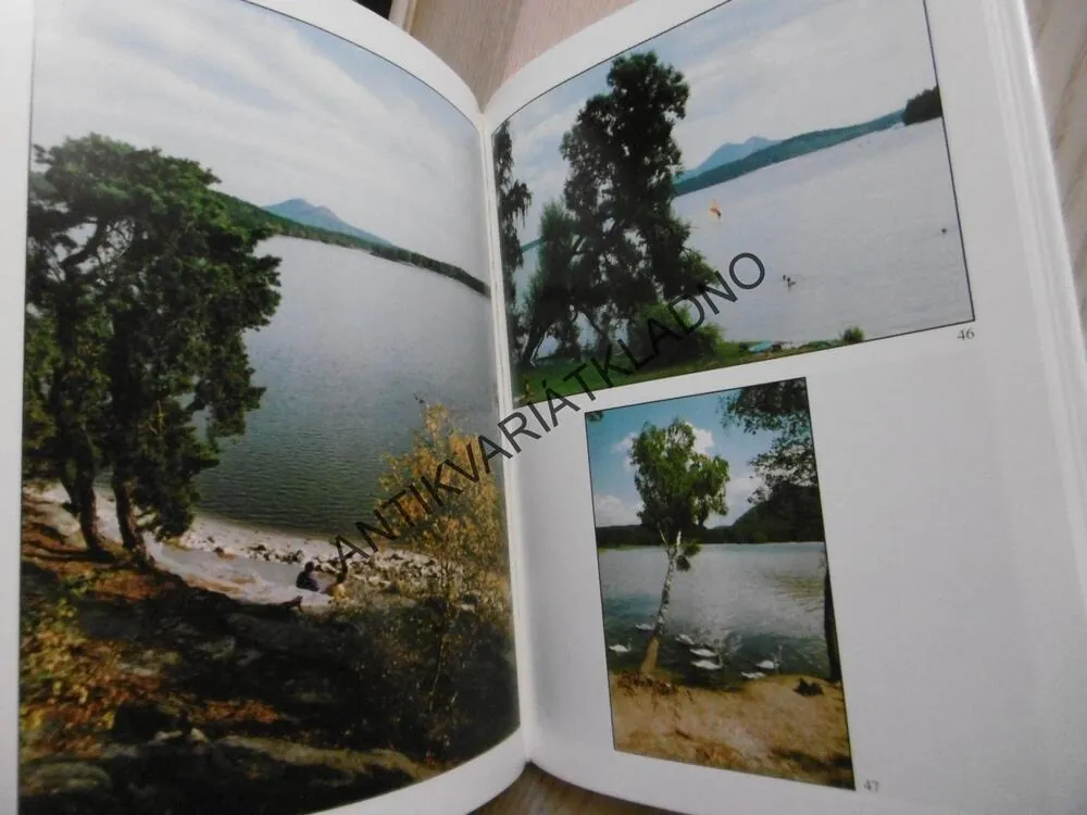 NALÉZÁNÍ ČESKOLIPSKA, LADISLAV MIMRA, VLADIMÍR RICHTRMOC, **an