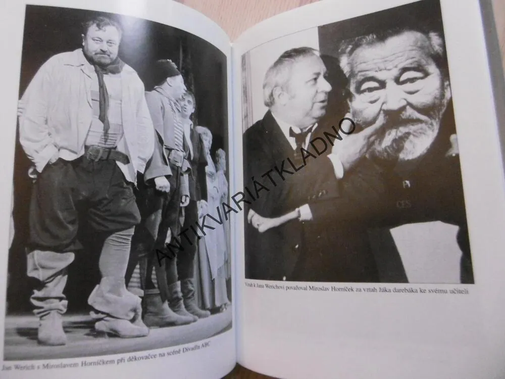 ZPOVĚĎ NA KONCI CESTY, MIROSLAV HORNÍČEK, JAN HŮLA, , **an