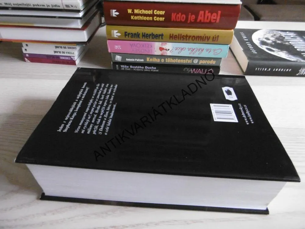 SVĚDECTVÍ, STEPHEN KING, **an