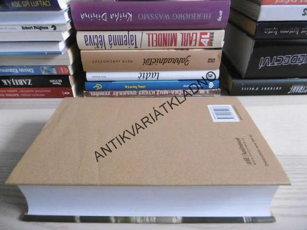 VÉVODKYNĚ A KUCHAŘKA, LADISLAV FUKS, **an
